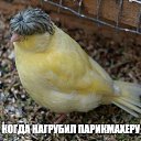���� �������, ������� - ��������� 9 ���� 2016 � ������ ���������