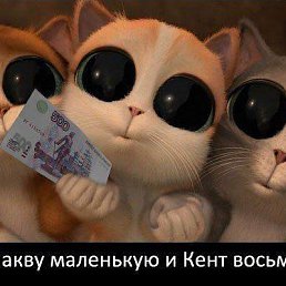 ���������, ��������, 36 ���