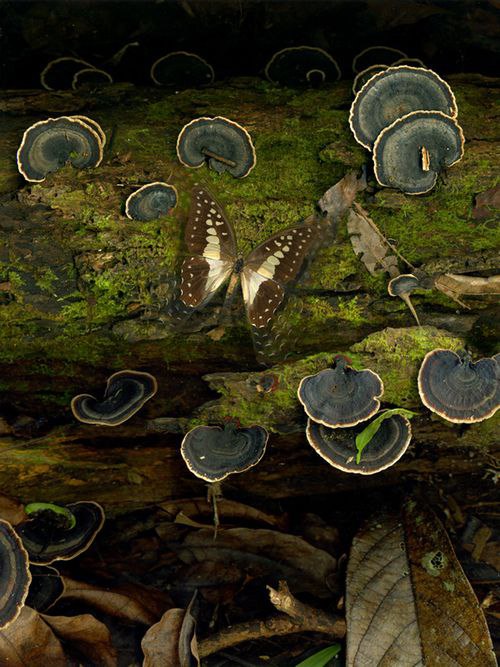   - 5  2016  02:29 - 4