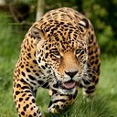 ���� �������� - ��������, ����������, 55 ��� - ��������� 26 ������� 2016 � ������ ���� ����������