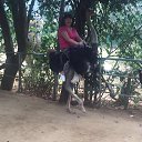 ���� ������, ������ - ��������� 23 ������ 2016 � ������ ���� ����������