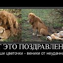 ���� ���, ���������, 101 ��� - ��������� 19 ��� 2016 � ������ ���� ����������