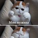 ���� �����, ���������� ����� - ��������� 7 ��� 2016 � ������ ���� ����������