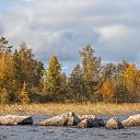  , -, 44  -  22  2016    