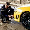 ���� �������, ����, 41 ��� - ��������� 16 ��� 2016 � ������ ���� ����������