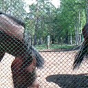 ���� ������, ����-���, 64 ���� - ��������� 17 ����� 2016