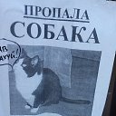 ���� ������, ����������, 42 ���� - ��������� 29 ����� 2016 � ������ ���� ����������