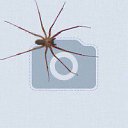 ���� ���, ������, 33 ���� - ��������� 12 ����� 2016 � ������ ������ ��������