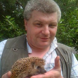 ���� �������, ���������, 62 ���� - ��������� 23 ������ 2016