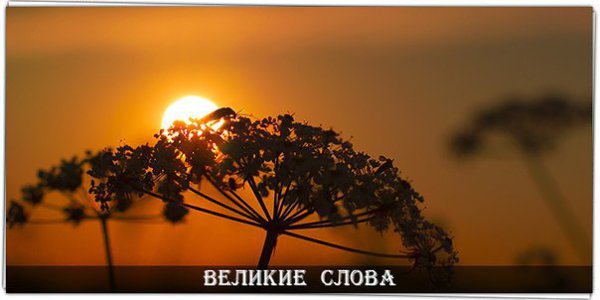 Всегда ожидайте лучшего – ибо вы всегда получаете именно то, чего ожидаете. © Лори Хард