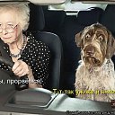 ���� ����, �������� - ��������� 12 ������ 2016 � ������ �����Ż