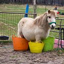 ���� �������, ������������, 32 ���� - ��������� 3 ������� 2016 � ������ ������ ��������