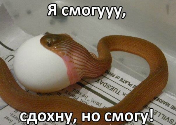 ������ �� ��� :D - 30 ������ 2016 � 04:06