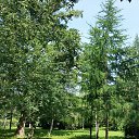  , , 58  -  21  2016    &quot; &quot;  2016