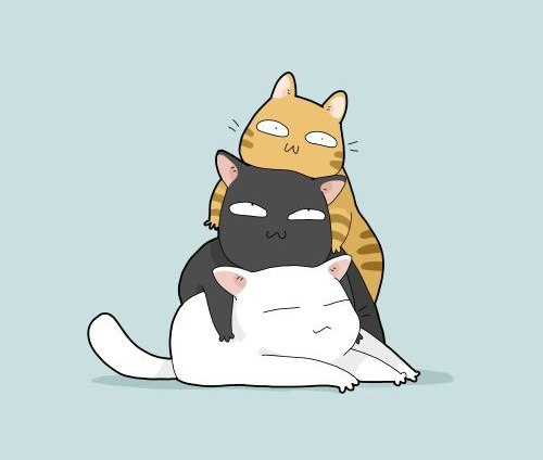  :3