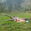 ���� �����, �����, 70 ��� - ��������� 18 ������� 2016 � ������ ������ ��������