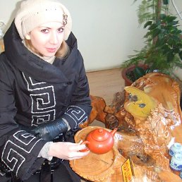 �����, 41 ���, ���������