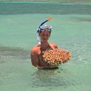 ���� �����, �����-���������, 42 ���� - ��������� 24 ������ 2016 � ������ ���� ����������