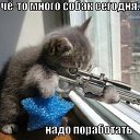 ���� ����, �����������, 43 ���� - ��������� 15 ������ 2016 � ������ ������ ��������
