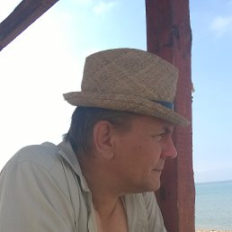 �����, ������, 66 ���