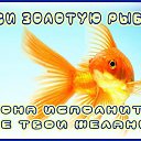  , , 63  -  20  2016    