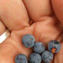 ���� �������, ������� - ��������� 24 ���� 2016 � ������ ���� ����������