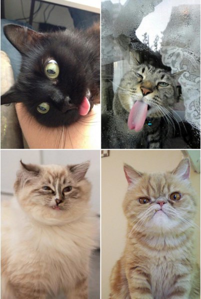 Со мной всё нормально, просто я не фотогеничный. - 3