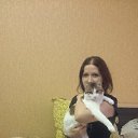 ���� �����, ����������, 41 ��� - ��������� 23 ���� 2016 � ������ ���� ����������