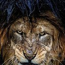 ���� �����, �������, 30 ��� - ��������� 25 ���� 2016