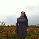 ���� ������, ����, 59 ��� - ��������� 10 ��� 2016 � ������ ���� ����������