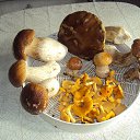 ���� ��������, ������, 64 ���� - ��������� 14 ��� 2016 � ������ ���� �����.�