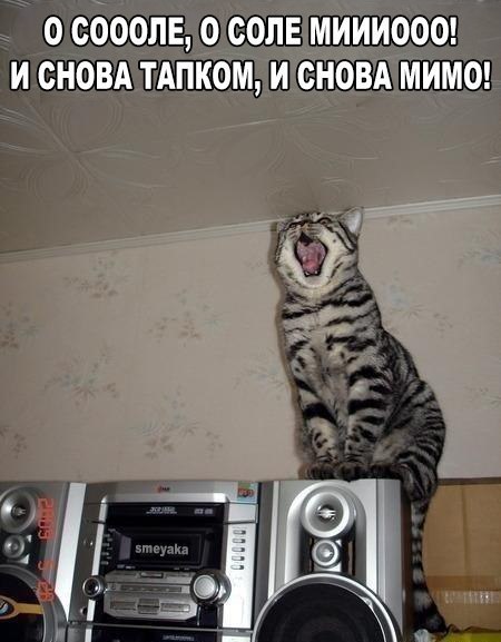    :D - 18  2016  04:08