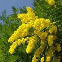 ���� ������, ������ ��������, 60 ��� - ��������� 15 ������ 2016 � ������ ���� ����������