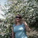  ,  , 46  -  20  2016    