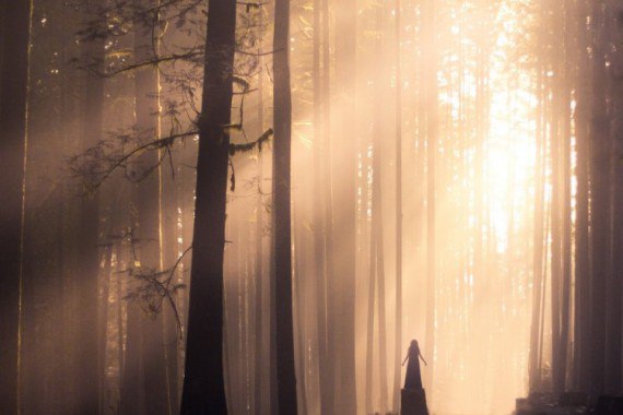 ,    .         ... - 20