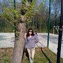 ���� �������, ��������� - ��������� 1 ��� 2016 � ������ ���� ����������