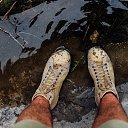���� Forest, ���� - ��������� 5 ��� 2016 � ������ ��������