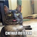 ���� Vassa, ���� - ��������� 28 ��� 2016 � ������ ������ ��������