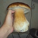 ��� ����� 1�� 375��. �� ������� ���� �����.�