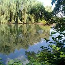 ���� �����, �����, 54 ���� - ��������� 7 ������� 2016 � ������ ���� ����������