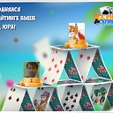 ���� �������, ��������, 54 ���� - ��������� 22 ������ 2016 � ������ �������� �������-�������