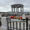 ���� �������, ������������, 49 ��� - ��������� 1 ���� 2016 � ������ �������������