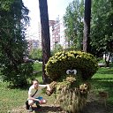 ���� ����, �������, 43 ���� - ��������� 25 ���� 2016 � ������ ���� ����������