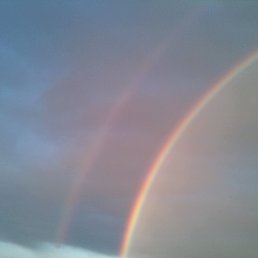 ���� �, ����������, 44 ���� - ��������� 11 ���� 2016