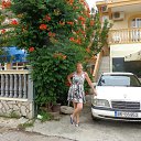 ���������� �� ������� ���� ����������