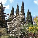  , , 60  -  5  2016     ,03.04.16.