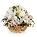 ���� �����, ������ - ��������� 13 ������� 2016 � ������ ���� ����������