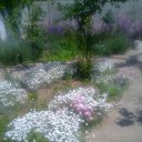���� Nina, �������, 66 ��� - ��������� 13 ���� 2016 � ������ ������ - ��� �������!�