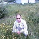  Ը, , 38  -  15  2016