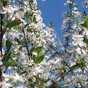 ���� ������, �����������, 64 ���� - ��������� 9 ���� 2016 � ������ �...���� ��������...�